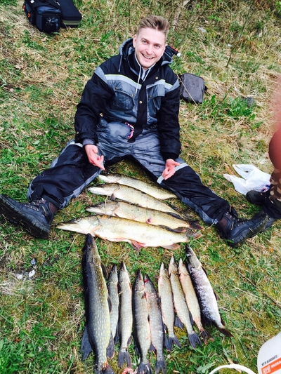 Northern Pike