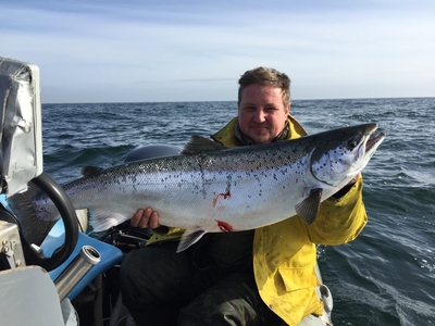 Atlantic salmon
