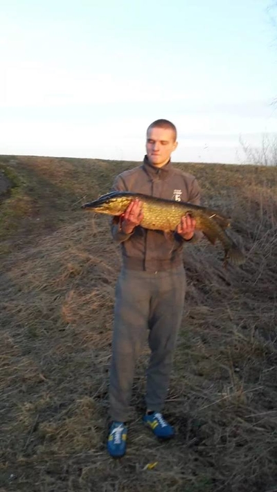 Northern Pike