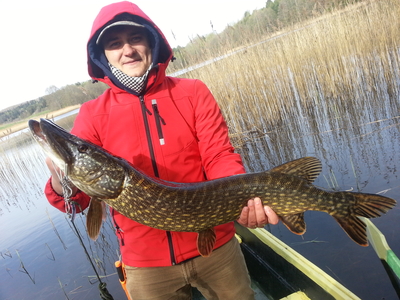 Northern Pike