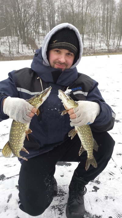 Northern Pike