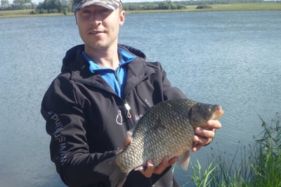 Crucian carp