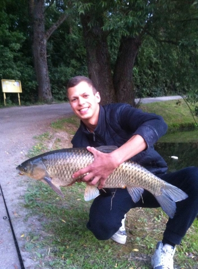 Grass carp