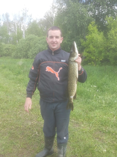 Northern Pike