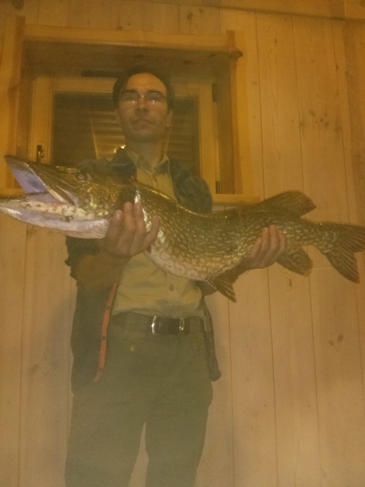 Northern Pike