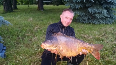 Carp