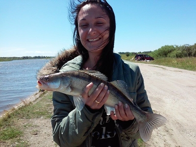 Pike perch