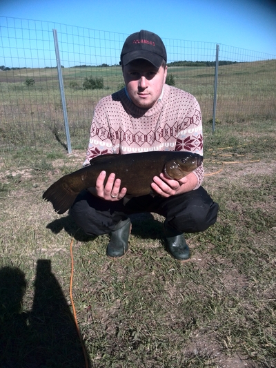 Tench