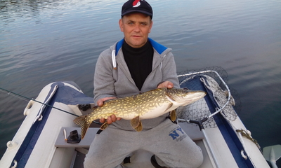 Northern Pike