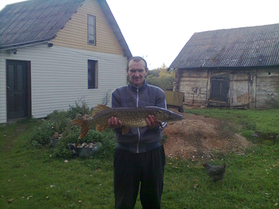 Northern Pike