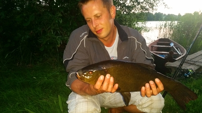 Tench