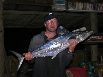 King Mackerel