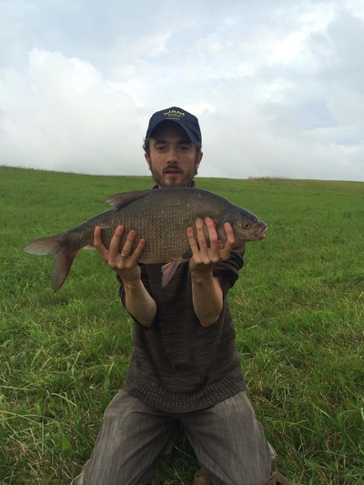 Carp bream