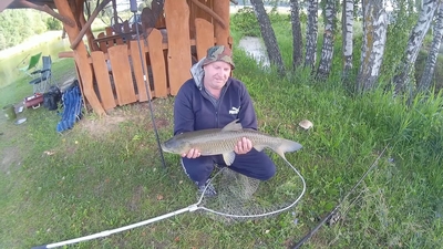 Grass carp