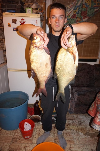 Carp bream
