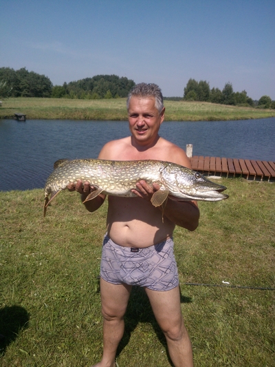 Northern Pike