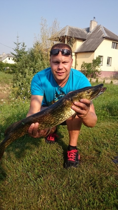 Northern Pike