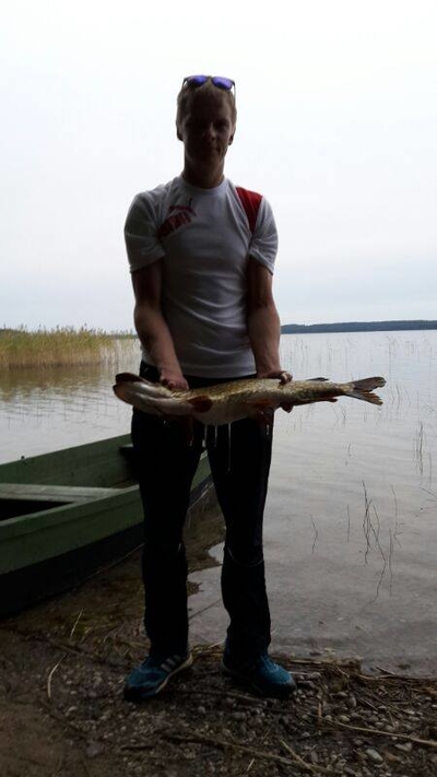 Northern Pike