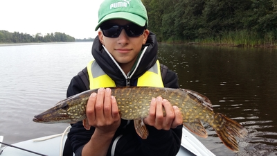 Northern Pike
