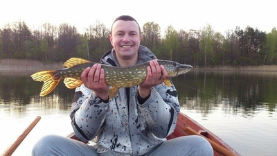 Northern Pike