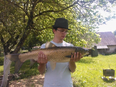 Grass carp