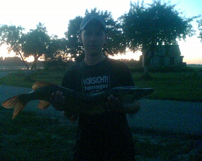 Northern Pike