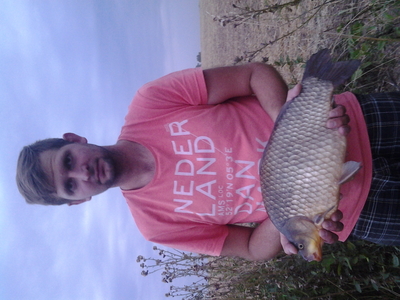 Crucian carp