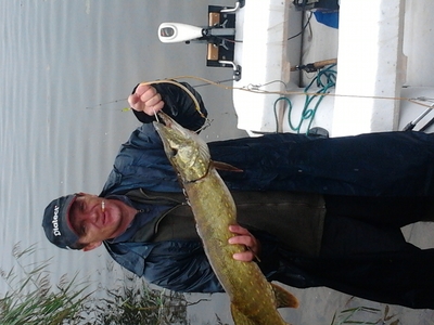 Northern Pike