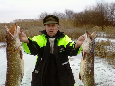 Northern Pike