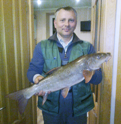 Barbel