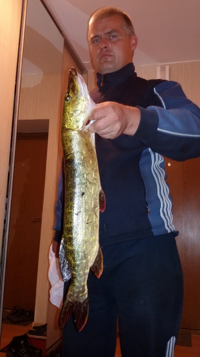Northern Pike