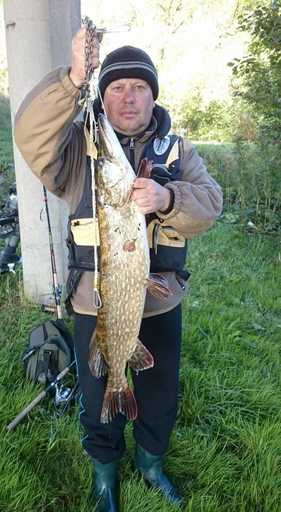 Northern Pike