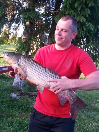 Grass carp