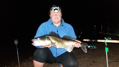 Pike perch