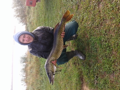 Northern Pike