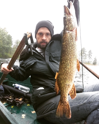 Northern Pike