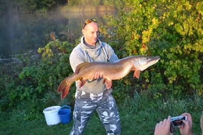 Northern Pike
