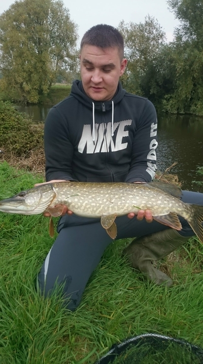 Northern Pike