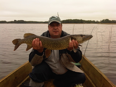 Northern Pike