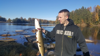 Northern Pike