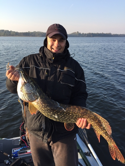 Northern Pike