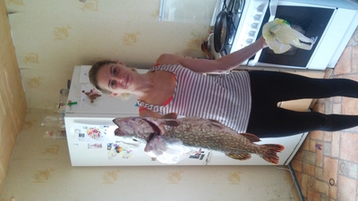 Northern Pike