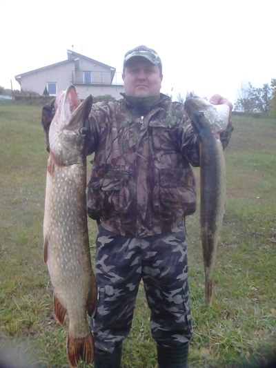 Northern Pike