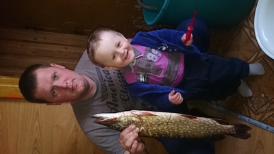 Northern Pike
