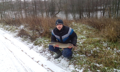 Northern Pike