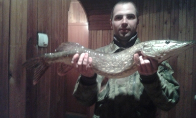 Northern Pike