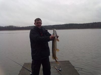 Northern Pike