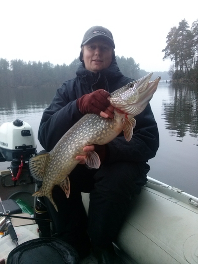 Northern Pike