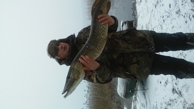 Northern Pike
