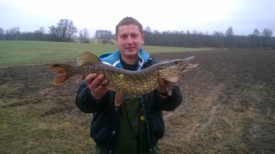 Northern Pike
